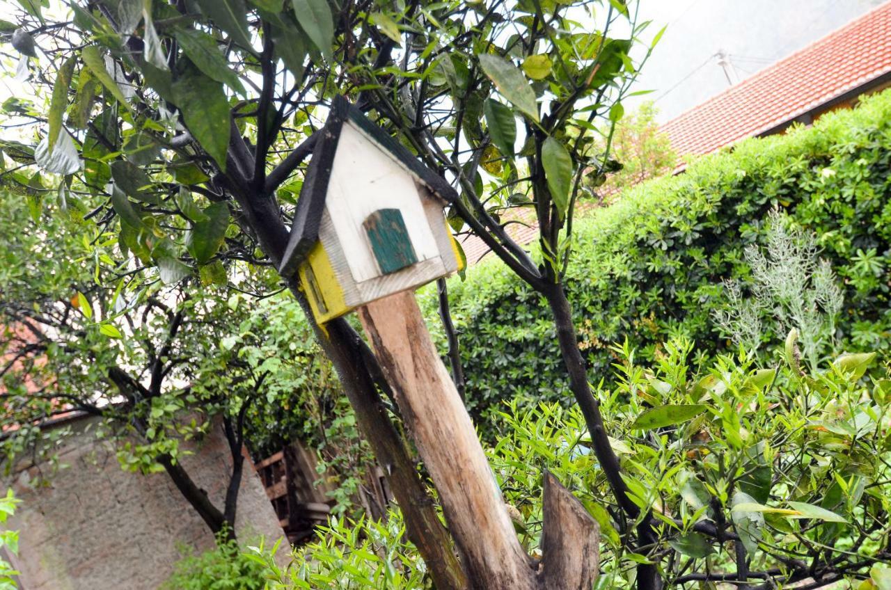 Apartment Buki 코토르 외부 사진